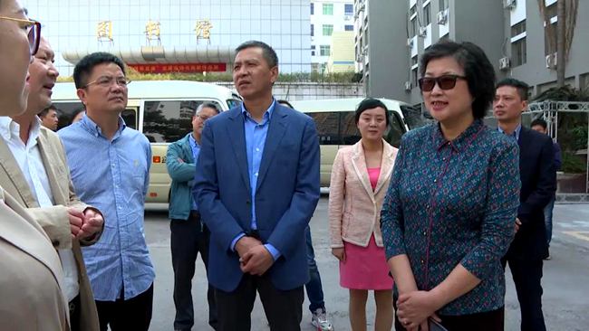 徐育斐来龙港调研职业教育等工作