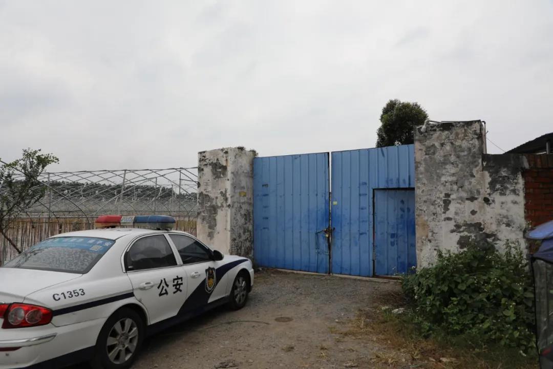 涉案5000余万元！龙港警方侦破制售假酒包材案