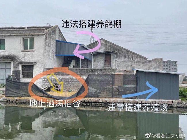 关于方良粮库养鸡等问题整改情况的说明