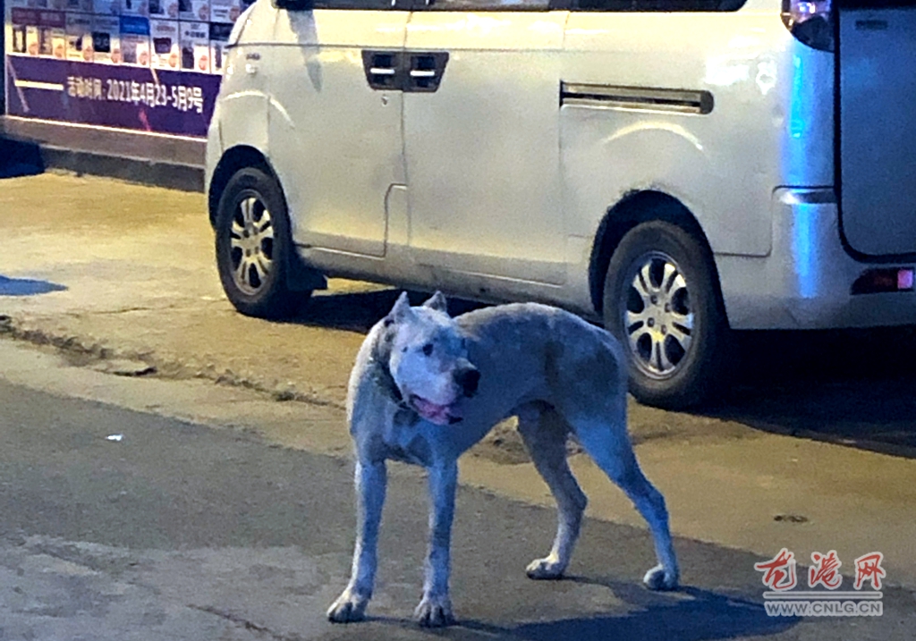 微信图片_20210518121512.jpg