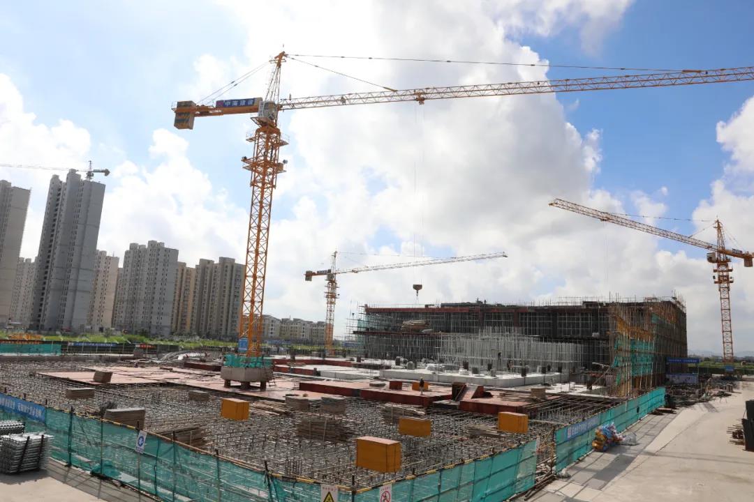 龙港市政协开展印艺小镇建设视察活动