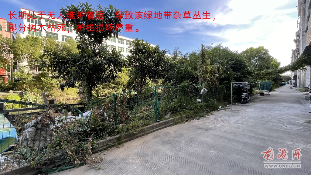 微信图片_20210906191649_副本.jpg