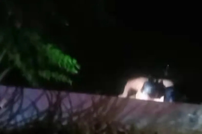 夜色中，他纵身一跃，托起了一条生命……丨学“三能”见行动