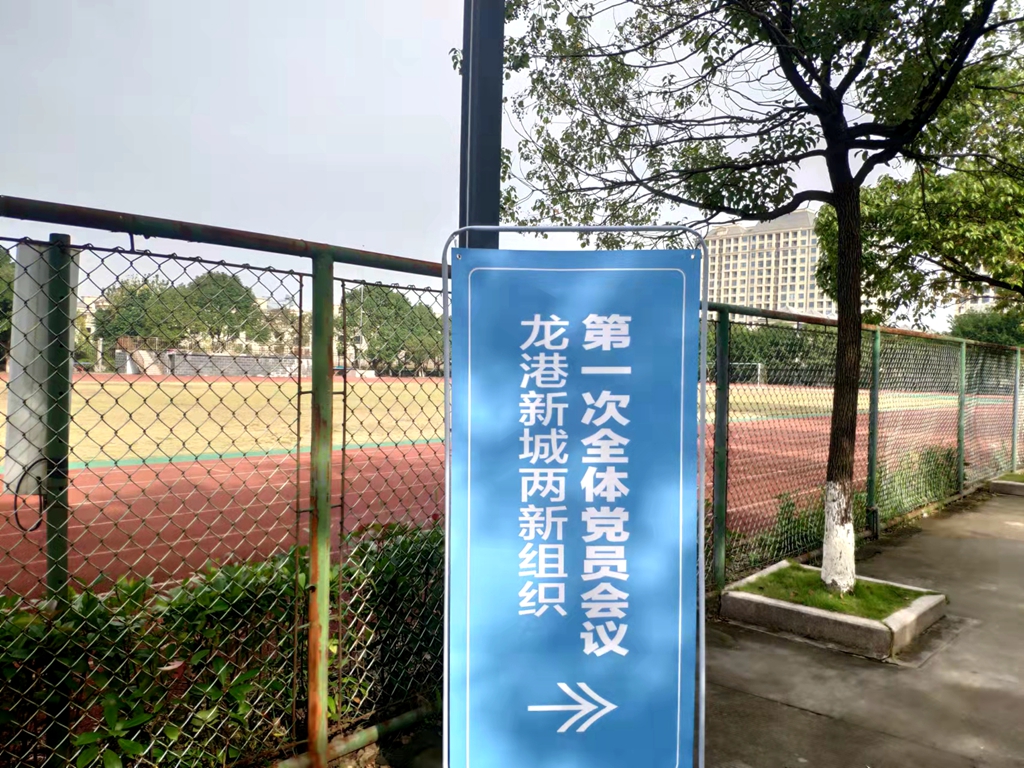 龙港新城“两新”组织全体党员大会于今日召开