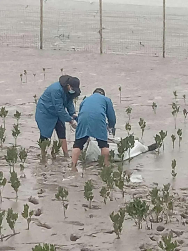 微信图片_20211217114307.jpg