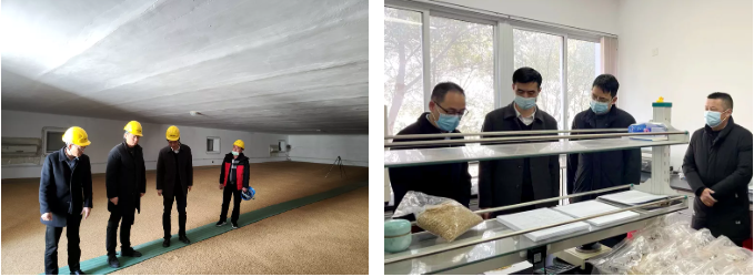 温州市粮食和物资储备局党组书记江春带队赴龙港中心粮库调研指导防疫工作