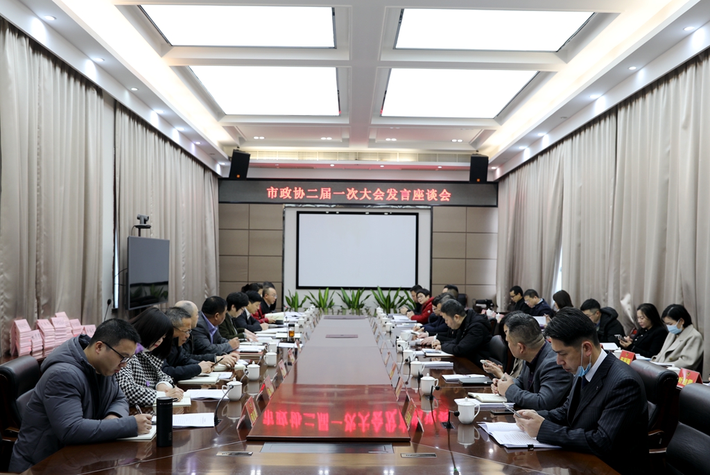 龙港市政协召开二届一次会议大会发言座谈会
