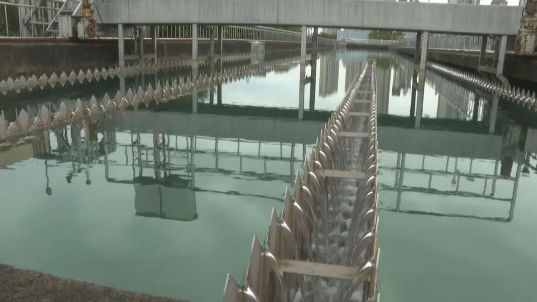 龙港塘东水厂三期扩建项目主体结构工程基本完工