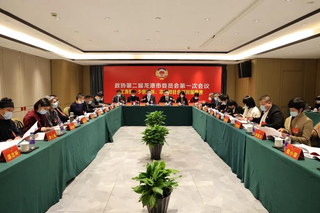 龙港市政协二届一次会议小组讨论 委员积极开展“我是谁”“我为龙港献一计”大讨论