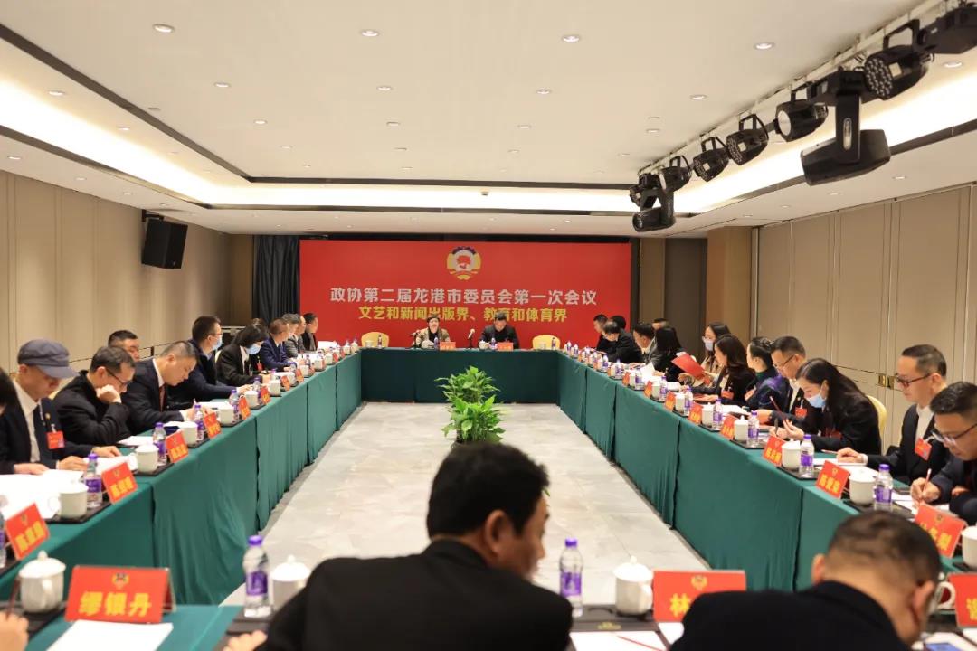 龙港市政协二届一次会议小组讨论 委员积极开展“我是谁”“我为龙港献一计”大讨论