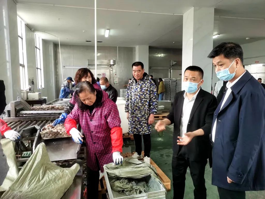 为渔业发声 为农业建言 | 龙港市政协农业界别组委员活动