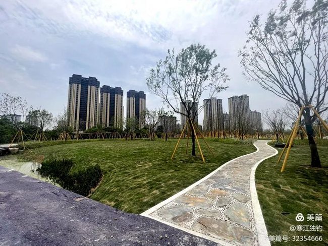 龙港城市湿地公园二期