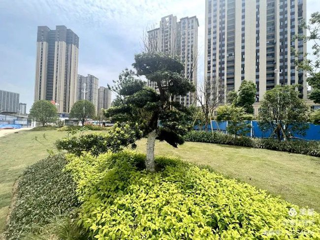 龙港城市湿地公园二期