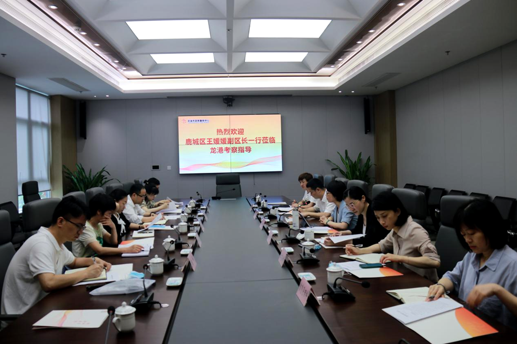 温州市鹿城区副区长王媛媛率队来龙港政务服务中心考察学习