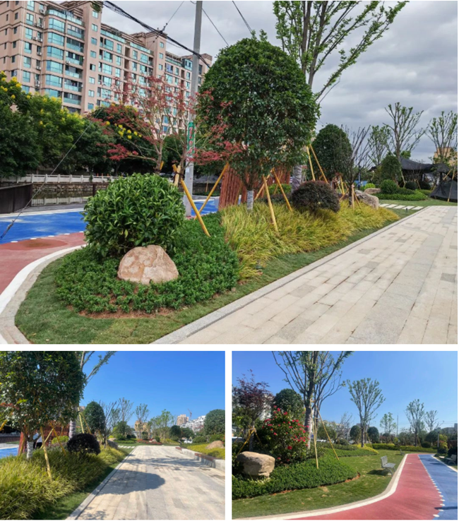 微信图片_20220916231959.png