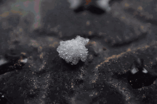 微信图片_20230113002543.gif