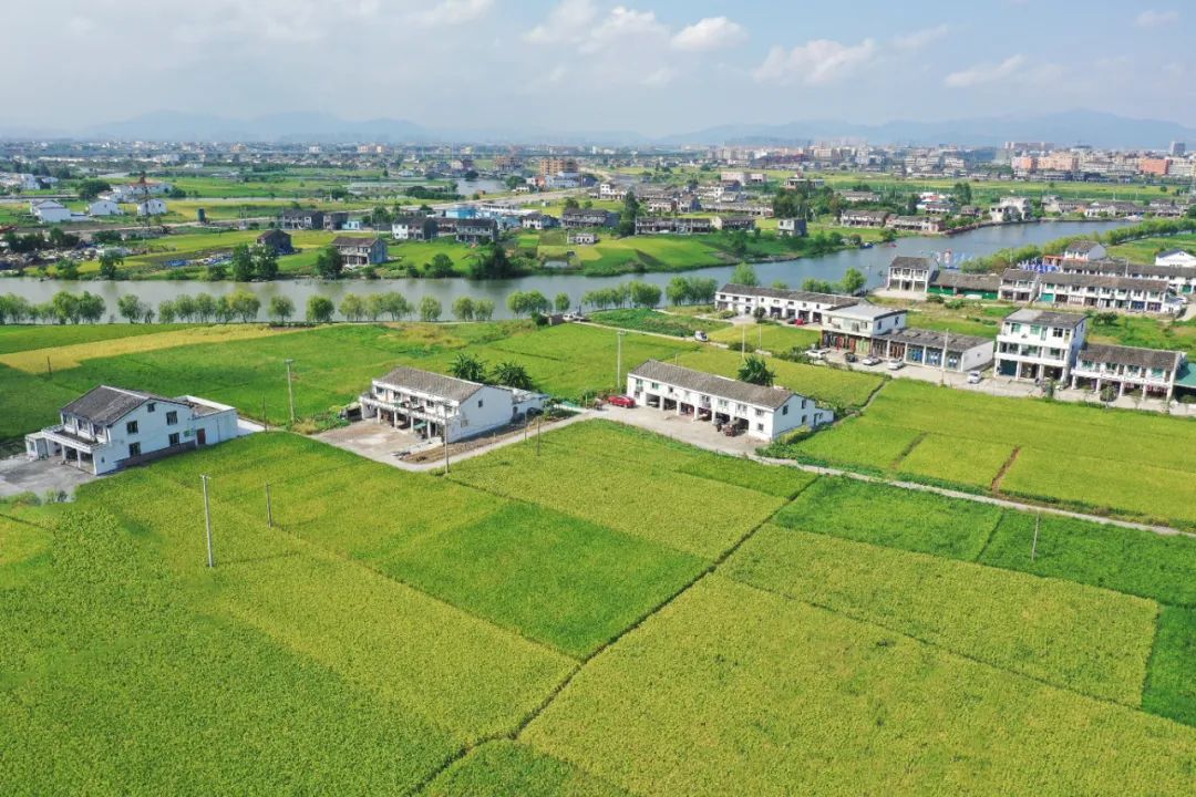 龙港市三园社区。池长峰/摄 龙港市三园社区。池长峰/摄