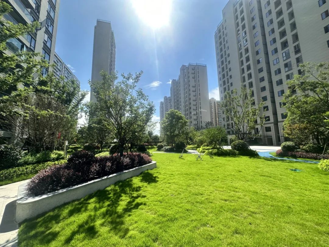 新鸿绿地公园 新鸿绿地公园