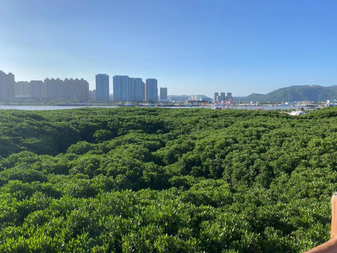 微信图片_20231027022209.png