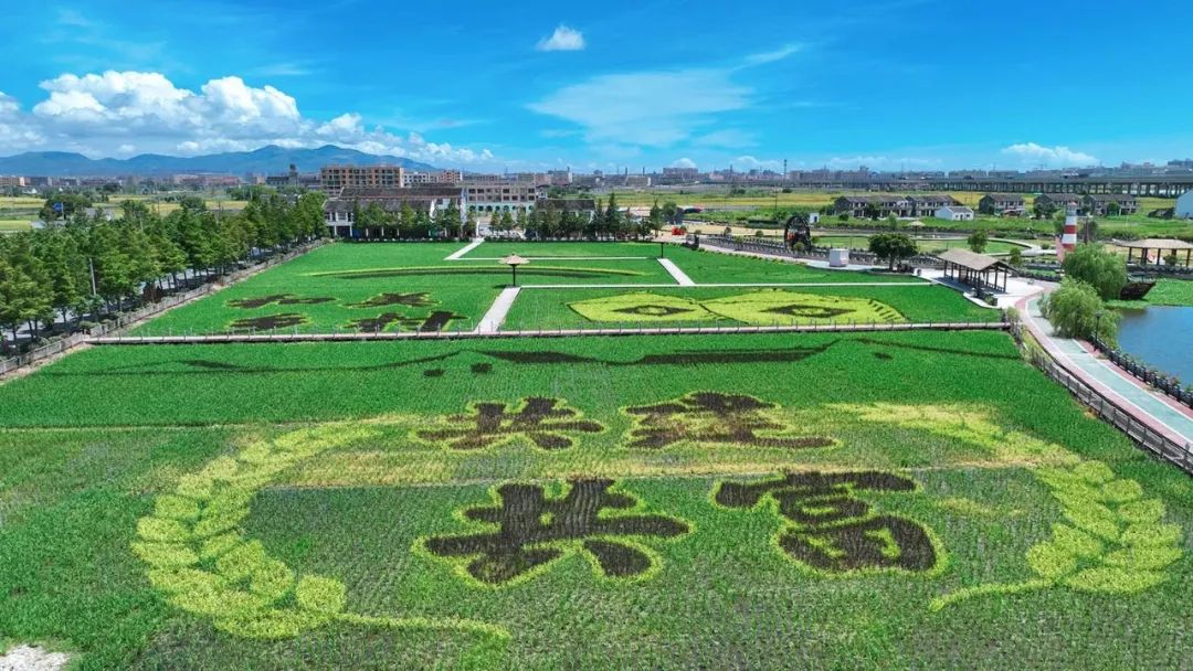 微信图片_20231206142127.jpg