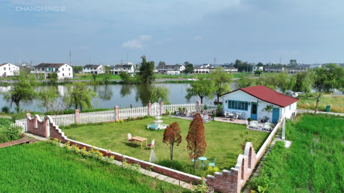 小庭院激活大能量！龙港探索“庭院主理人”模式