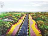 美丽田园丨市领导督查美丽田园创建和农村困难家庭危旧房改造工作