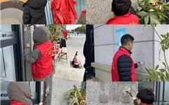 龙港市新城联合党委开展小广告专项整治行动