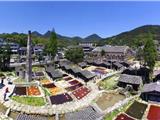 龙港6个未来乡村要这么建