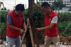 龙港网民监督团在行动