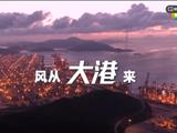 风从大港来