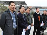 王忠秀督察龙港河道水葫芦打捞清运工作