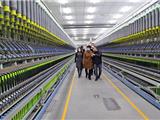 政府靠前服务 全力以赴抓生产促发展