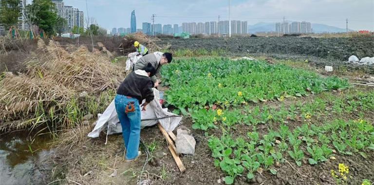 龙港新城联合党委开展乱搭乱建专项整治...