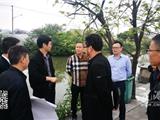 县农办来龙港指导美丽乡村建设工作