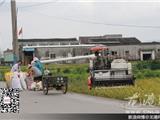 早稻收割正当时 农户田间作业忙