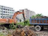 文明创建在行动  龙港东排村垃圾处理不手软