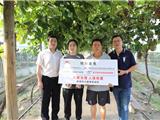 台风过后 龙港市政策性农险理赔迅速启动