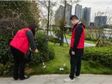 龙港新城：环境卫生大清扫，助力打造美丽家园