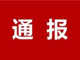 中共政协龙港市委员会机关党组关于巡察整改情况的通报（社会公开稿）