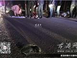 龙港发生一起交通事故 两人不幸身亡