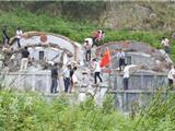 龙港镇积极打击青山白化现象