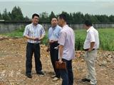 丁云勇检查龙港镇防汛准备工作