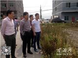 龙港镇人大组织代表视察农口工作
