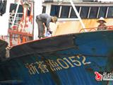 苍南县渔船落实伏季休渔管理不打折扣