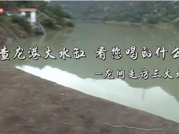 探秘龙港大水缸 看您喝的什么水