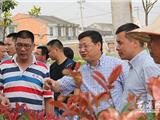 丁振俊实地察看“三分三改”项目建设
