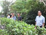 龙港镇接受省级园林镇考评专家组实地察看考评