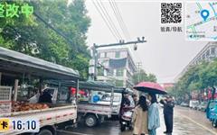 龙港街头一幕！别把马路当自己家了