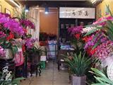 新春佳节  幽兰阁锦上添花