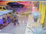“盗花贼”盯上了商铺前名贵花木